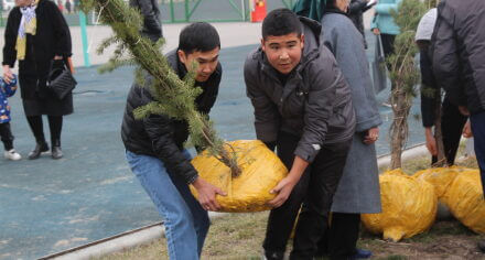 В парке им. Адинай Мырзабековой, студенты КГМА совместно с родителями посадили ели.