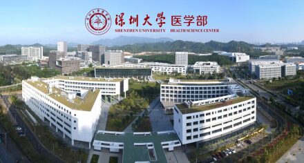 Обучение в Медицинской школе Университета Шеньжень, Китай