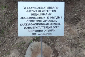 Employees of the accounting department of KSMA planted a fir-tree