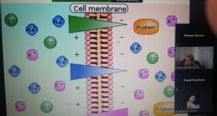 Online workshop for KGMA students