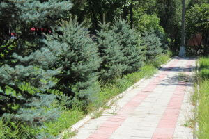 Олимпиадага (Видовизитка)