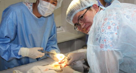 КММАда хирургия боюнча олимпиада өттү