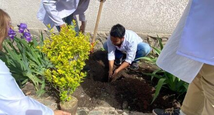 КММАнын иш күндөрү