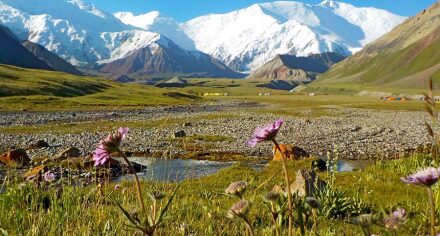 Тоого экскурсия