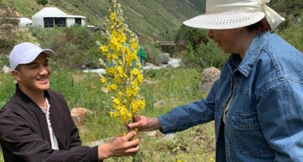 Будущие фармацевты КГМА осваивают лекарственные растения, произрастающие на территории Кыргызстана