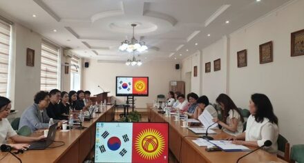 КММАда медайымдык билим берүү боюнча тренингдер өтүүдө