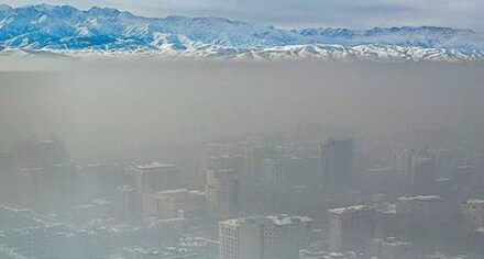 Конференция «Определение медицинских и социальных последствий загрязнения воздуха для женщин и детей