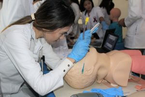 Winners of the "Fair of Scientific Circles" have been determined