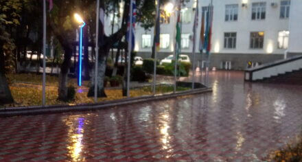 КММАнын акушерства жана гинекология кафедрасы №2