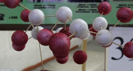 В КГМА прошла Ярмарка СНК