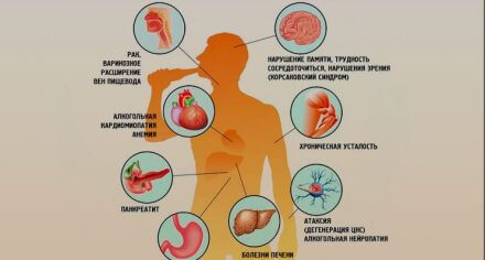 О вреде алкоголя на организм