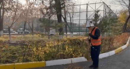 Социалдык ролик